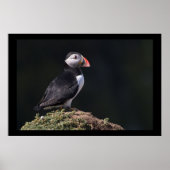 Puffin on Rock Poster (Voorkant)