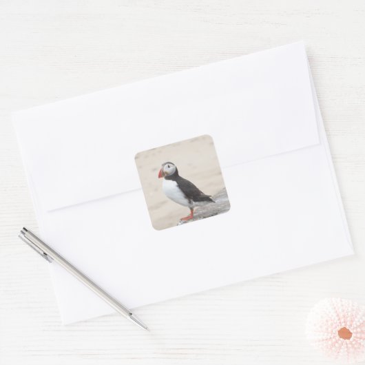 Puffin onderbreekt vierkante sticker (Envelop)