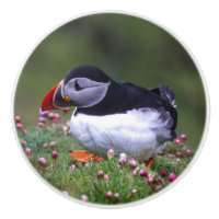 Puffin-Onderzetter