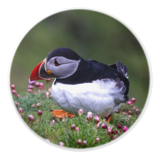 Puffin-Onderzetter Keramische Knop (Voorkant)
