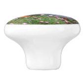 Puffin-Onderzetter Keramische Knop (Zijkant)