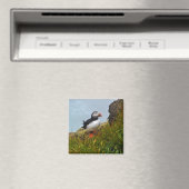Puffin op een Cliff Fridge Magnet (Insitu (Vaatwasser))