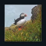 Puffin op een Cliff Fridge Magnet<br><div class="desc">Puffin aan de rand van een klif in de Westfjorden van IJsland - een heerlijk afbeelding voor deze koelkastmagneet</div>