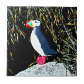 puffin op rotstegels tegeltje (Voorkant)