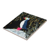 puffin op rotstegels tegeltje (Zijkant)