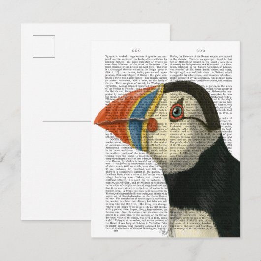 Puffin Portrait Briefkaart (Voorkant / Achterkant)