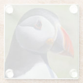 Puffin Portrait Glass Onderzetter (Achterkant)