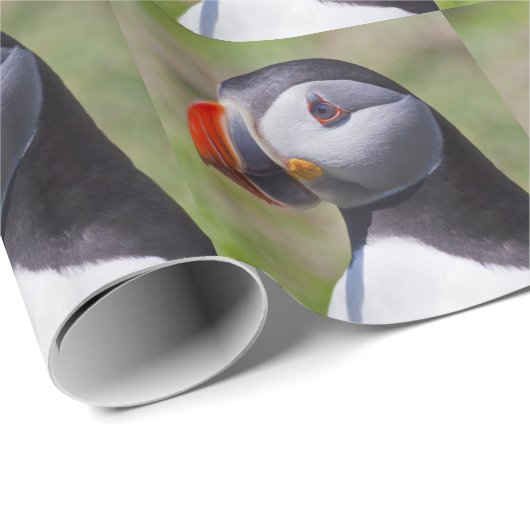 Puffin Portrait Wrapping Paper Cadeaupapier (Rol Hoek)