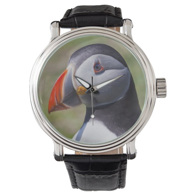 Puffin Portret Horloge (Voorkant)