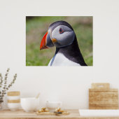 Puffin Portret Print (Keuken)
