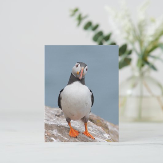 Puffin Pose Briefkaart (Staand voorkant)