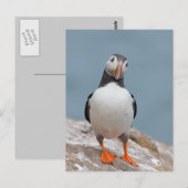 Puffin Pose Briefkaart (Voorkant / Achterkant)