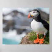 Puffin Poster (Voorkant)