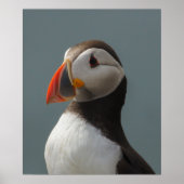 Puffin Poster (Voorkant)