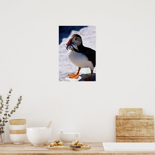 Puffin Poster (Keuken)