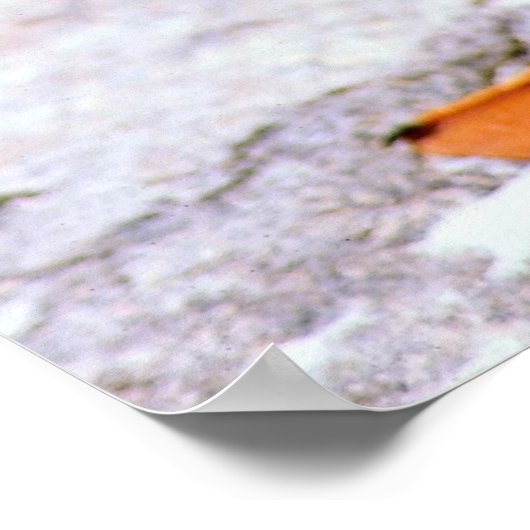 Puffin Poster (Hoek)