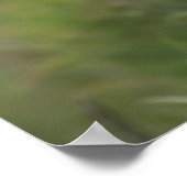 Puffin-poster Poster (Hoek)