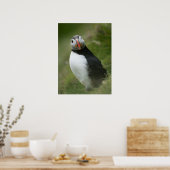 Puffin-poster Poster (Keuken)