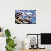 Puffin-poster Poster (Thuiskantoor)