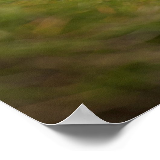 Puffin-poster Poster (Hoek)