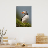 Puffin-poster Poster (Keuken)