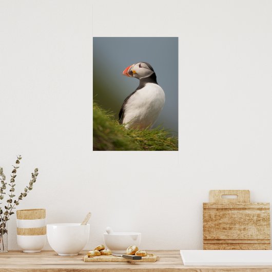 Puffin-poster Poster (Keuken)