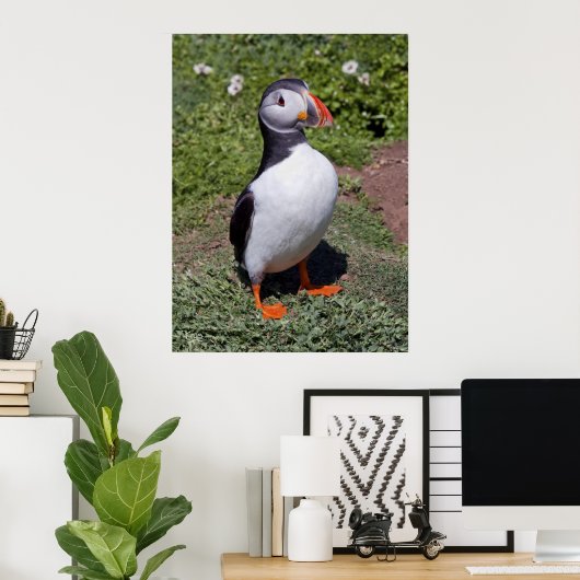 Puffin Print (Thuiskantoor)