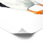 Puffin Print Foto Afdruk (Hoek)