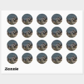 Puffin Ronde Sticker (Vel)