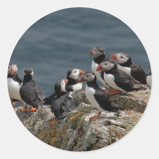 Puffin Ronde Sticker (Voorkant)