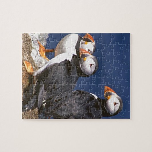 Puffin-tastic Jigzaag Puzzle Legpuzzel (Horizontaal)