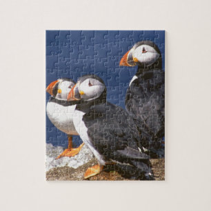 Puffin-tastic Jigzaag Puzzle Legpuzzel