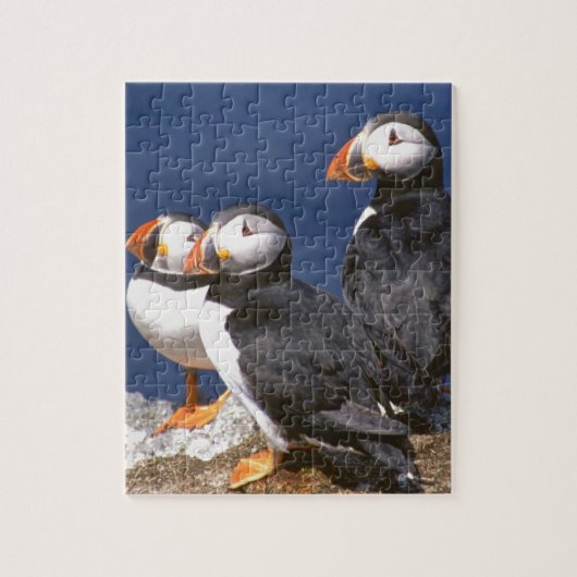 Puffin-tastic Jigzaag Puzzle Legpuzzel (Verticaal)