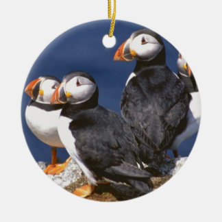 Puffin-tastic keramische siervoorwerpen keramisch ornament