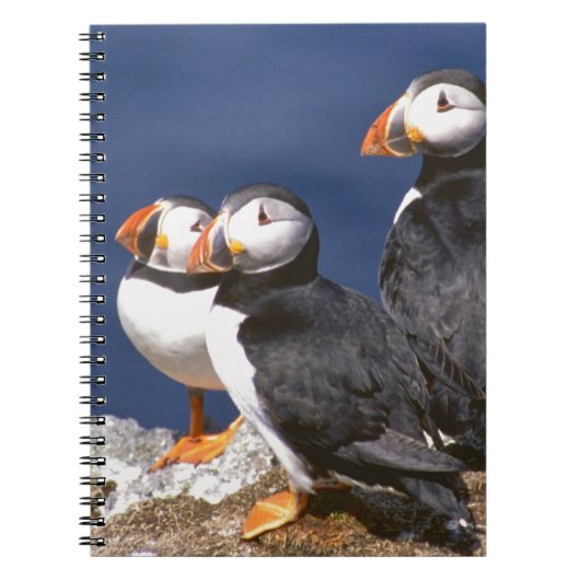 Puffin-tastic Notitieboek (Voorkant)