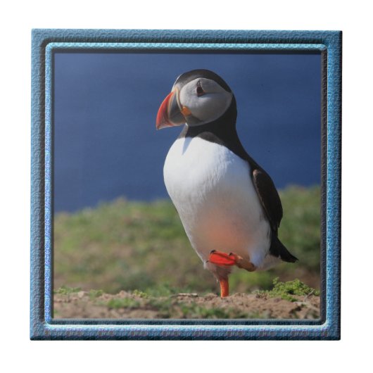 Puffin Tile Tegeltje (Voorkant)
