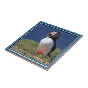 Puffin Tile Tegeltje