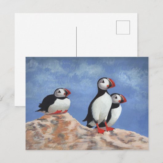 Puffin Trio Briefkaart (Voorkant / Achterkant)