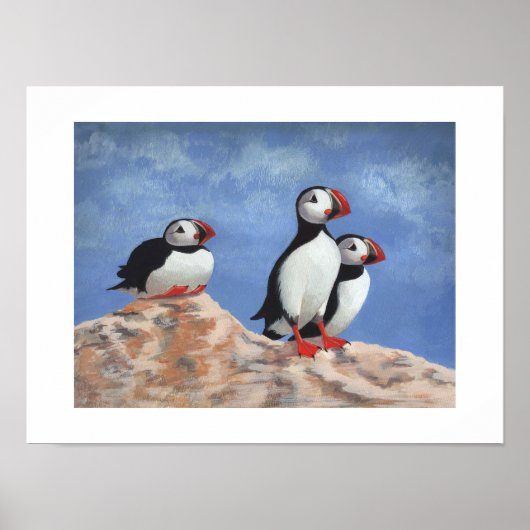 Puffin Trio Poster (Voorkant)