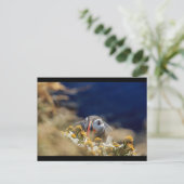 Puffin verbergen briefkaart (Staand voorkant)