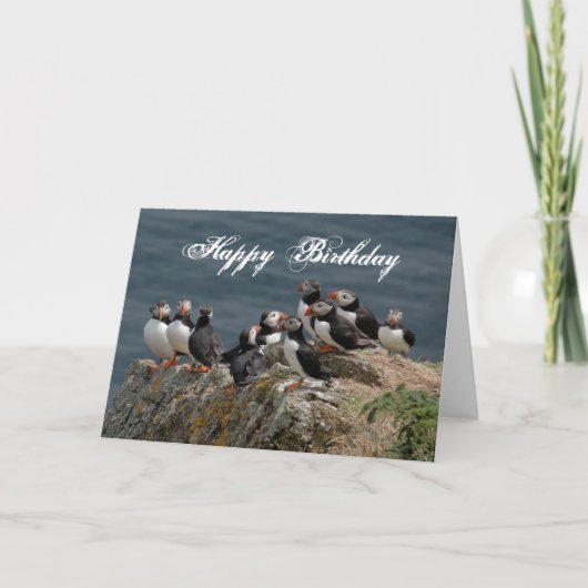 Puffin Verjaardag Groeten Kaart (Voorkant)