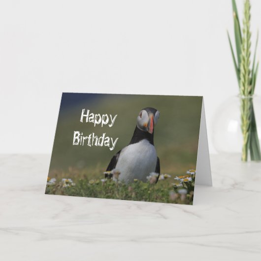 Puffin Verjaardag Groeten Kaart (Voorkant)