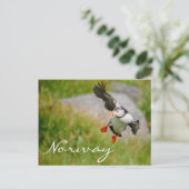 Puffin vliegend in het Noorse briefkaart (Staand voorkant)