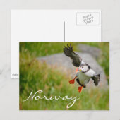 Puffin vliegend in het Noorse briefkaart (Voorkant / Achterkant)
