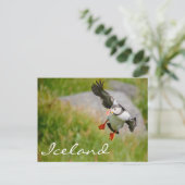 Puffin vliegend op IJsland Briefkaart (Staand voorkant)