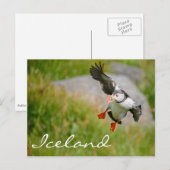 Puffin vliegend op IJsland Briefkaart (Voorkant / Achterkant)