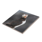Puffin-vogel Tegeltje (Zijkant)
