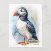 Puffin vogel waterverf schilderij briefkaart (Voorkant)