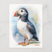 Puffin vogel waterverf schilderij briefkaart (Voorkant)