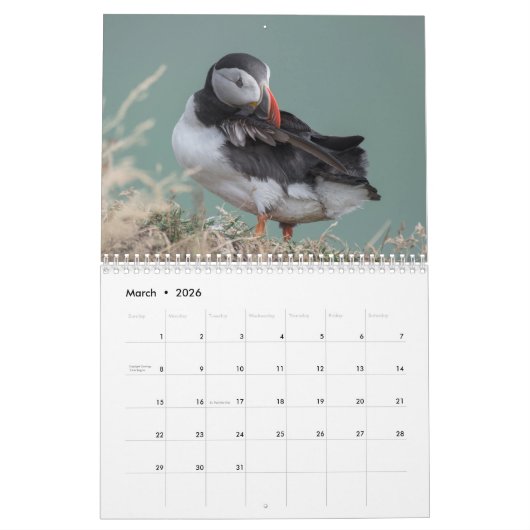 Puffin Wall Agenda Kalender (Mar 2026)